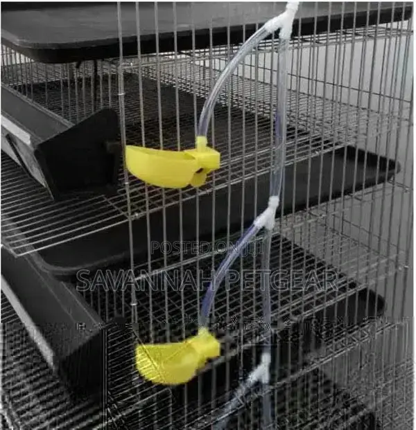 Best Quality H Type Quail Cage for Sale