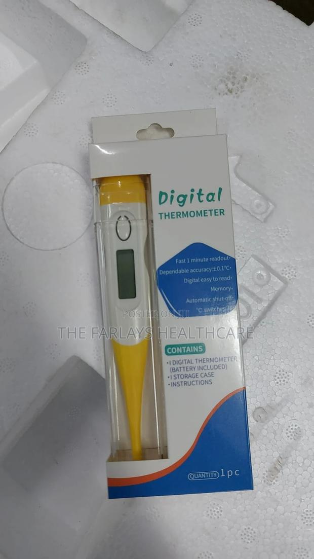 Digital Thermometer - main view