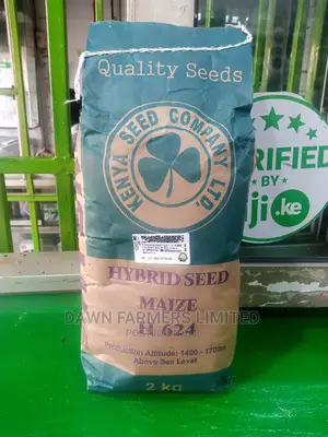 Maize H 624 , Hybrid 2kg