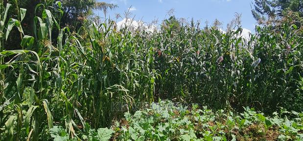 5bdrm Bungalow in Kapseret for sale - thumbnail 7