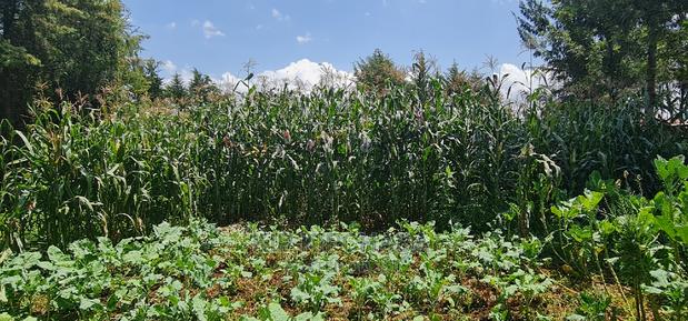 5bdrm Bungalow in Kapseret for sale - thumbnail 8