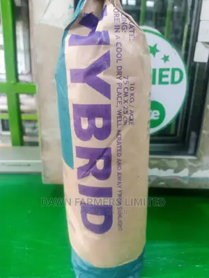 Maize H 614D 2kg
