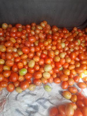 13 Acres for Sale - thumbnail 2