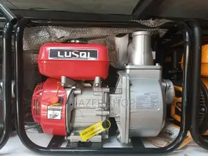 Lusqi Water Pump