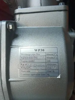 Lusqi Water Pump