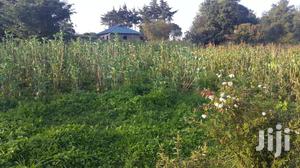 Residential Plots for Sale in Limuru, Mutarakwa Area.