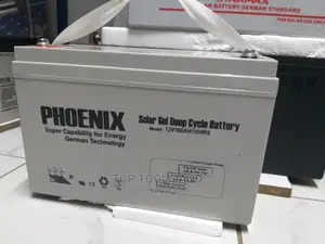 Phoenix 100 AH Solar Battery Deep Cycle Solar Gel Battery