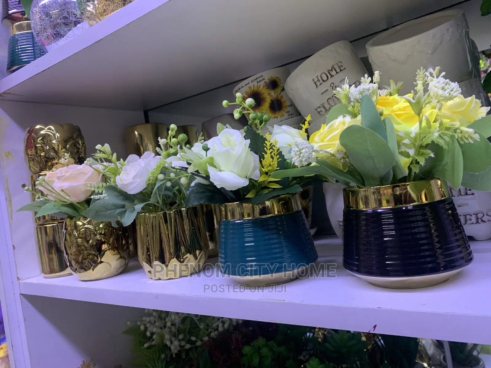 Decorative Plants Available