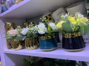 Decorative Plants Available