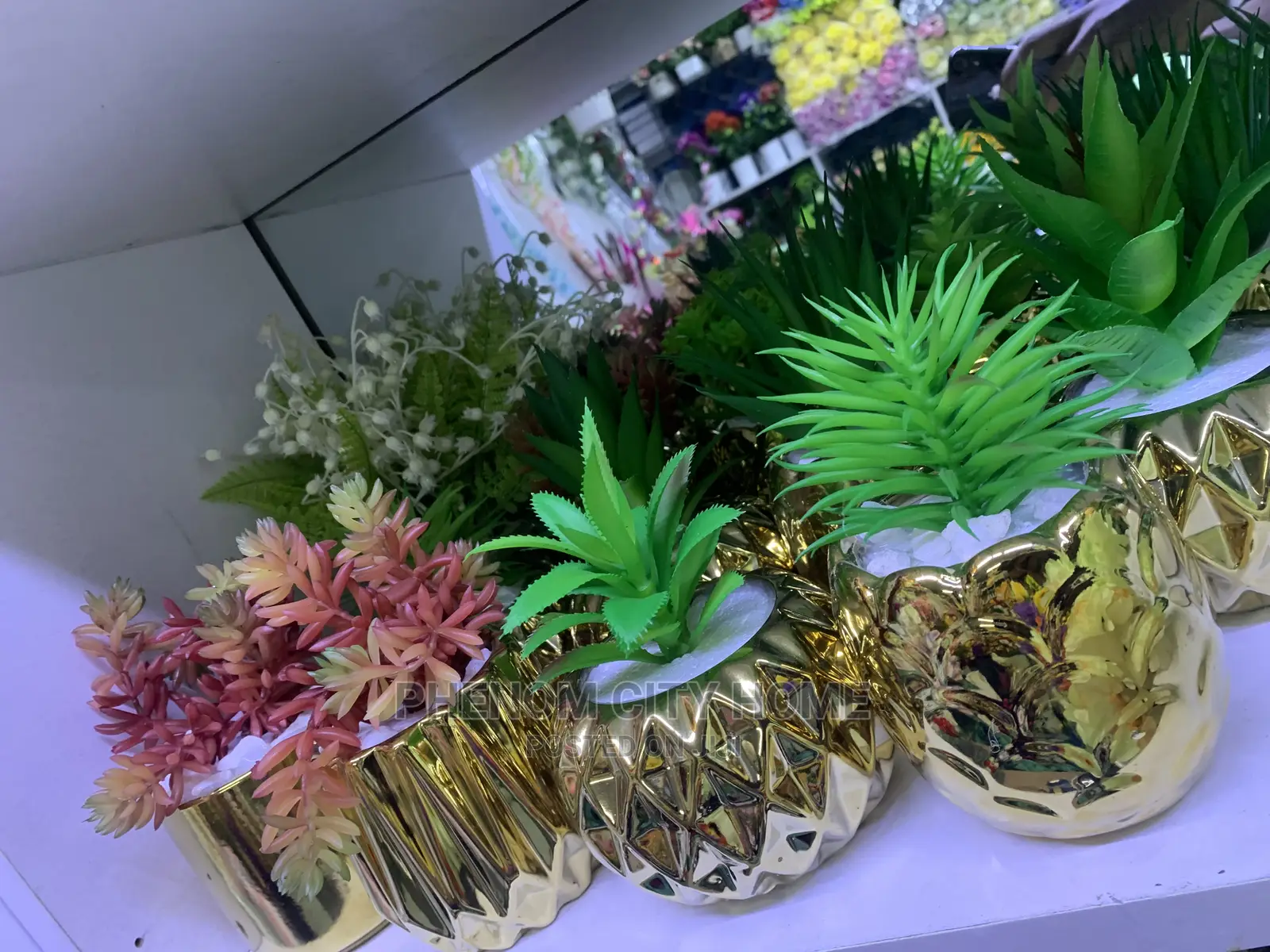 Decor Plants and Flowers