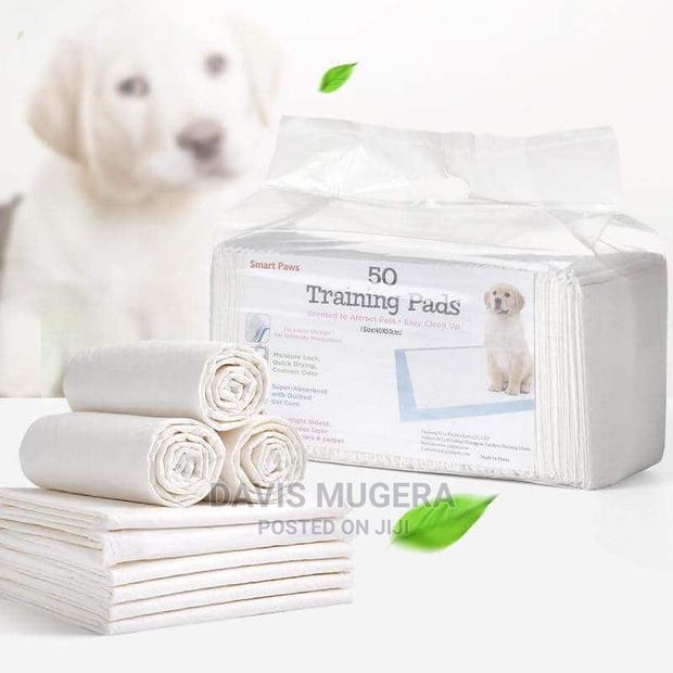 Smart Paws Dog Training Potty Pee Pads 60cm X 70cm – 30pcs - main view