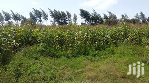 Residential Plots for Sale in Limuru, Mutarakwa Area.