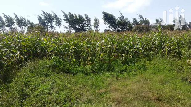 Residential Plots for Sale in Limuru, Mutarakwa Area. - thumbnail 4