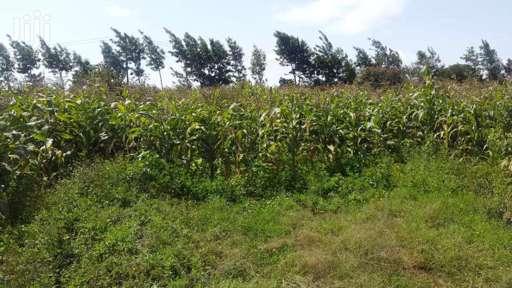 Residential Plots for Sale in Limuru, Mutarakwa Area.