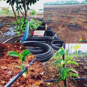 Hdpe Pipes for All Your Farm Requirements
