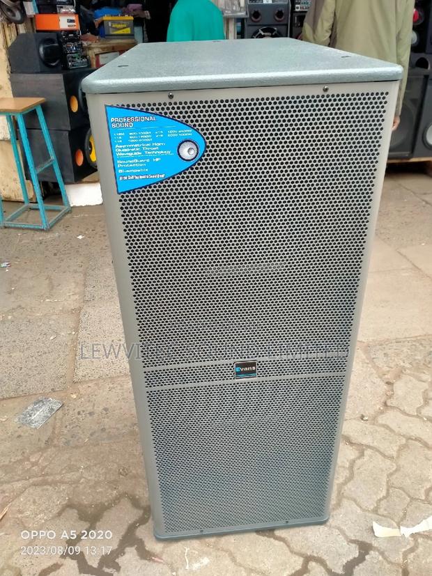Evans Grey Full Range Speaker - main view