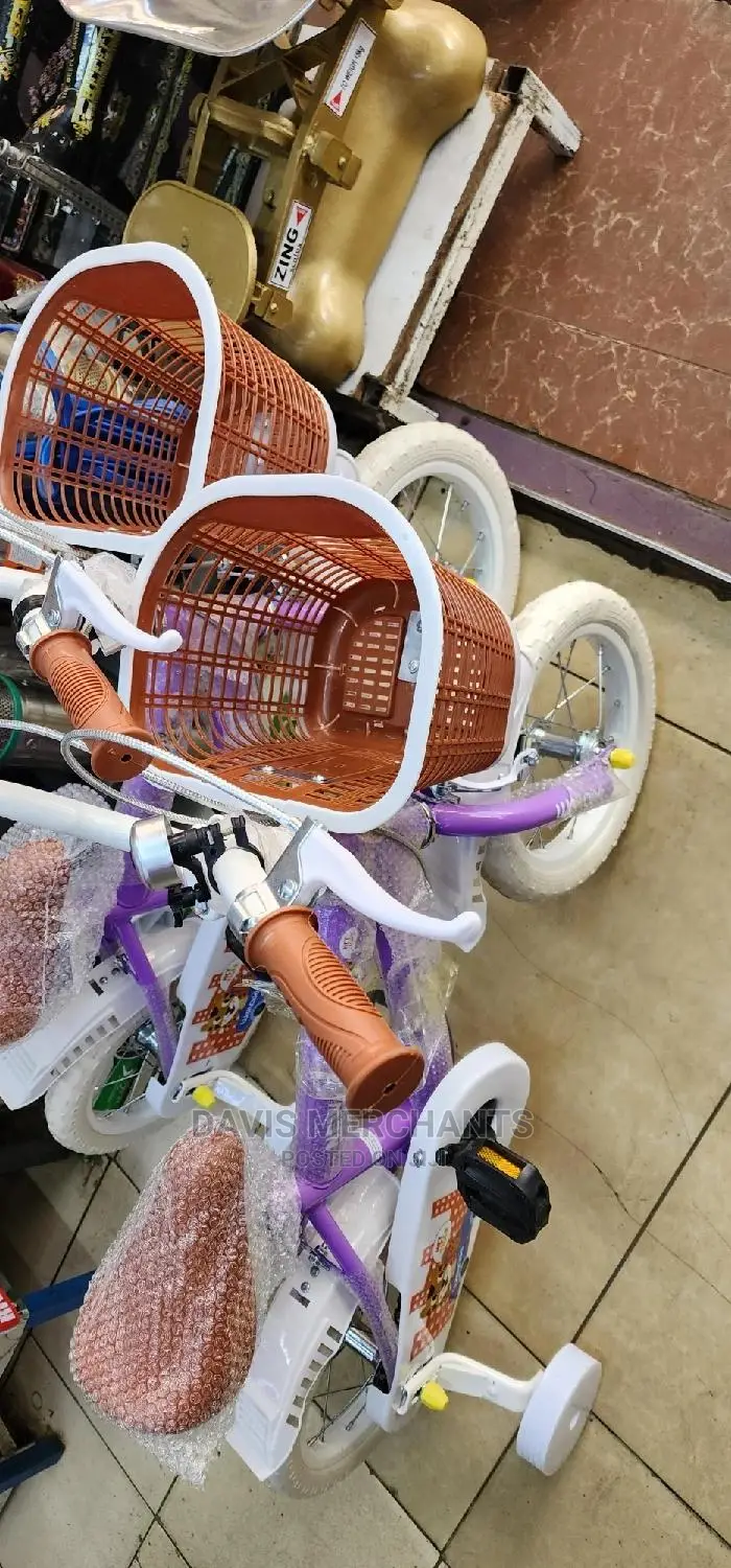 Girl Kid Bike With Front Basket