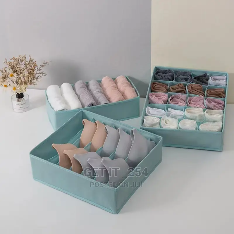 3in1 Under Garments Organizer