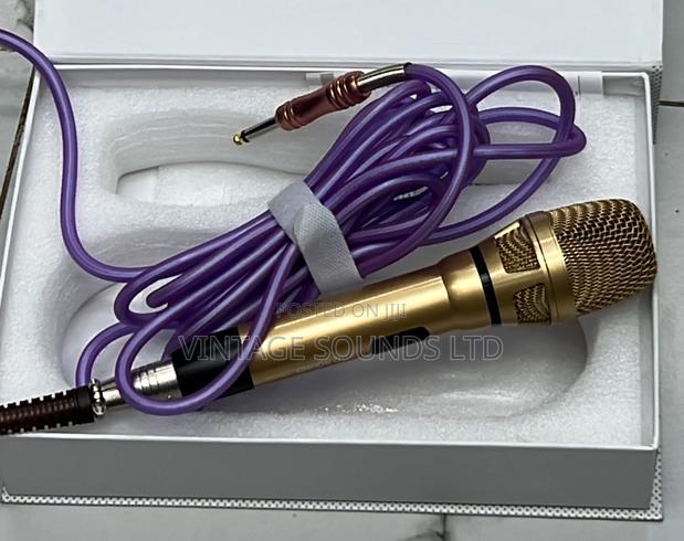 Pro Sound PR9100 Proffessional Microphone (Single ) - main view