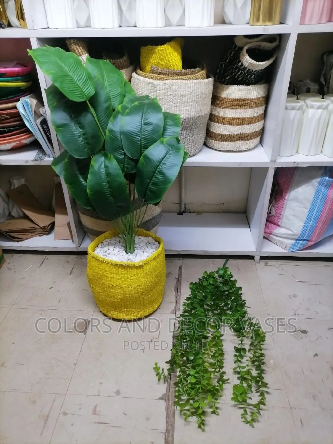 Banana Plant With Basket and Pebble Stones
