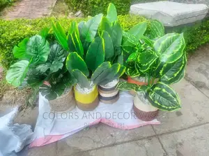 Baskets With Plants Artificial on Offer