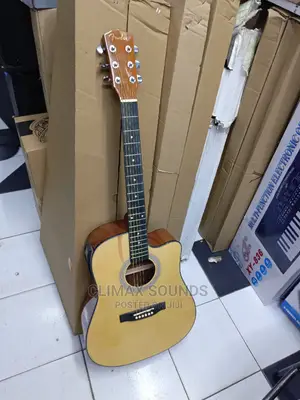 Semi Acoustic Guitar Fender S41