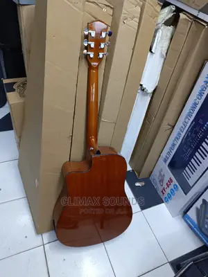 Semi Acoustic Guitar Fender S41