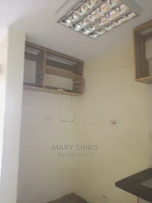 1bdrm Apartment in South B for rent
