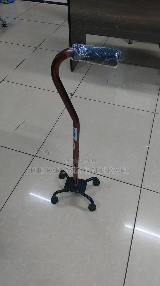 Quadi Walking Stick - main view