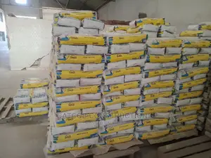 White Tile Adhesive Cement