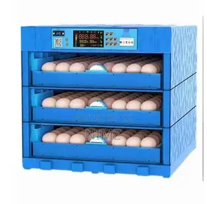 192 Eggs Capacity AC/DC Full Automatic Incubator