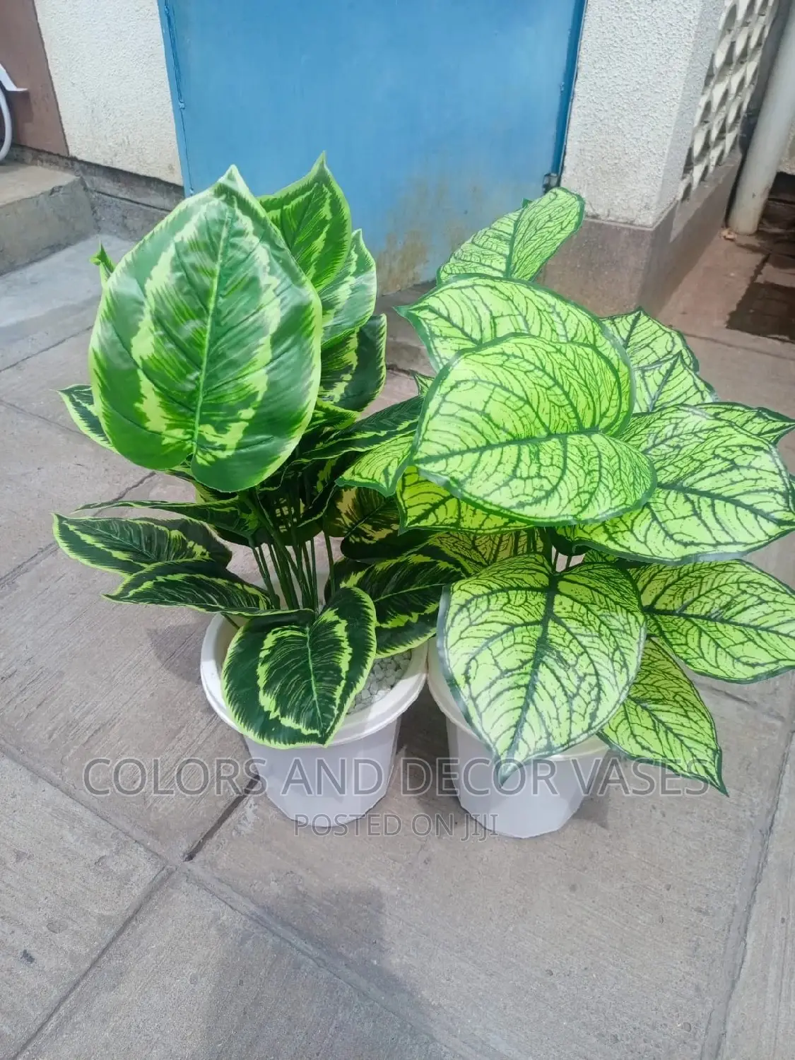 Artificial Plant Alone KSH 1000 on Offer