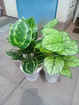 Artificial Plant Alone KSH 1000 on Offer
