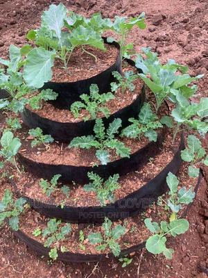 Dam Liners -urban Vegetable Farming - thumbnail 3