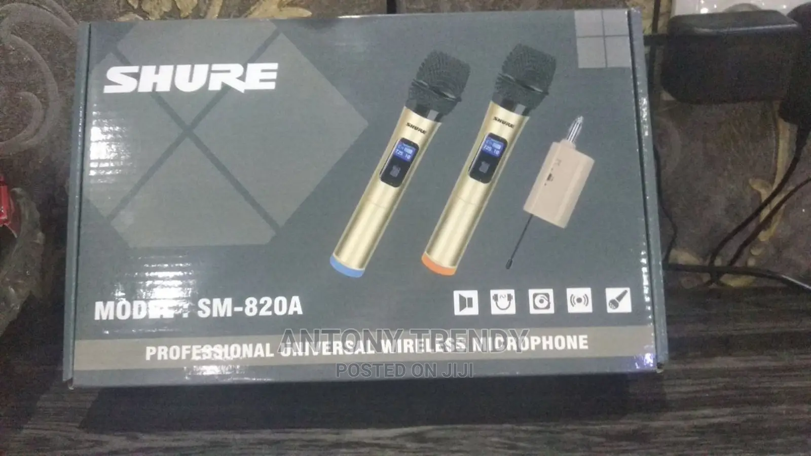 Professionl Wireless Microphone