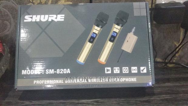 Professionl Wireless Microphone - main view