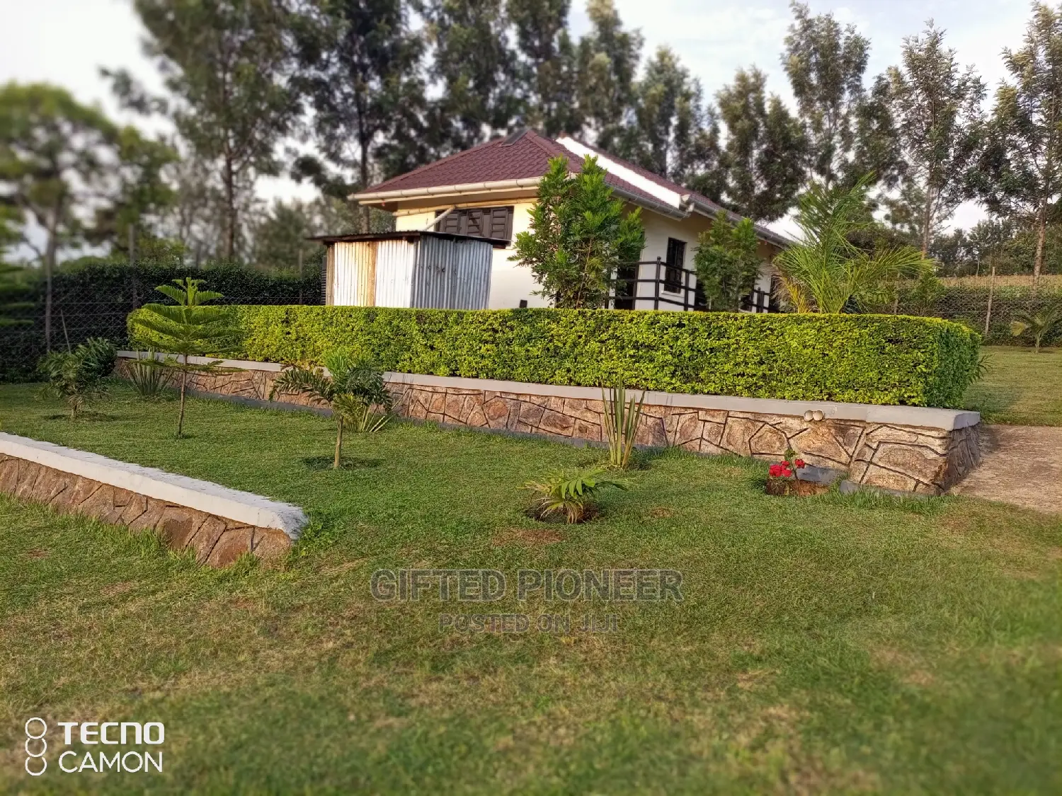Best Grass Planting and Cutting/ Flowering
