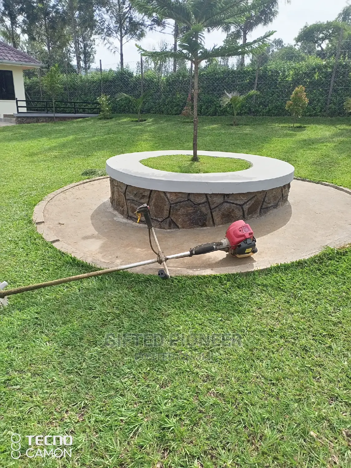 Best Grass Planting and Cutting/ Flowering