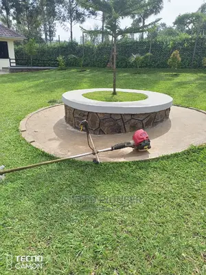 Best Grass Planting and Cutting/ Flowering