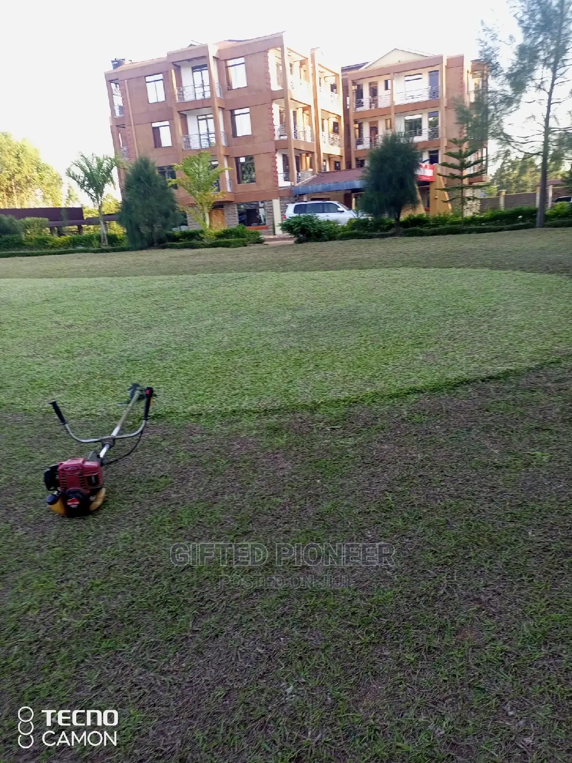 Best Grass Planting and Cutting/ Flowering