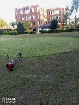 Best Grass Planting and Cutting/ Flowering