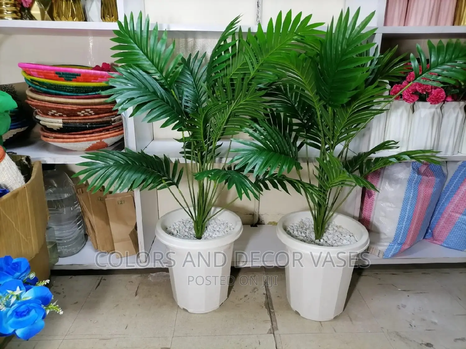 Palm Tree and Plastic Vase With Pebble Stones
