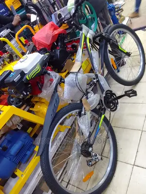 Bikes for Adults