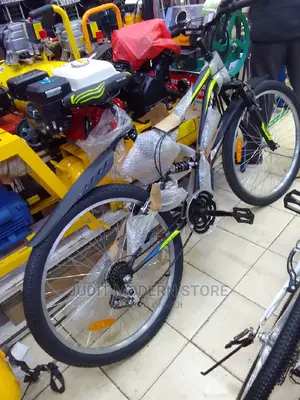 Adult Unisex Bicycle