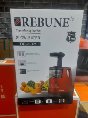 Rebune Slow Juicer RE-2-079