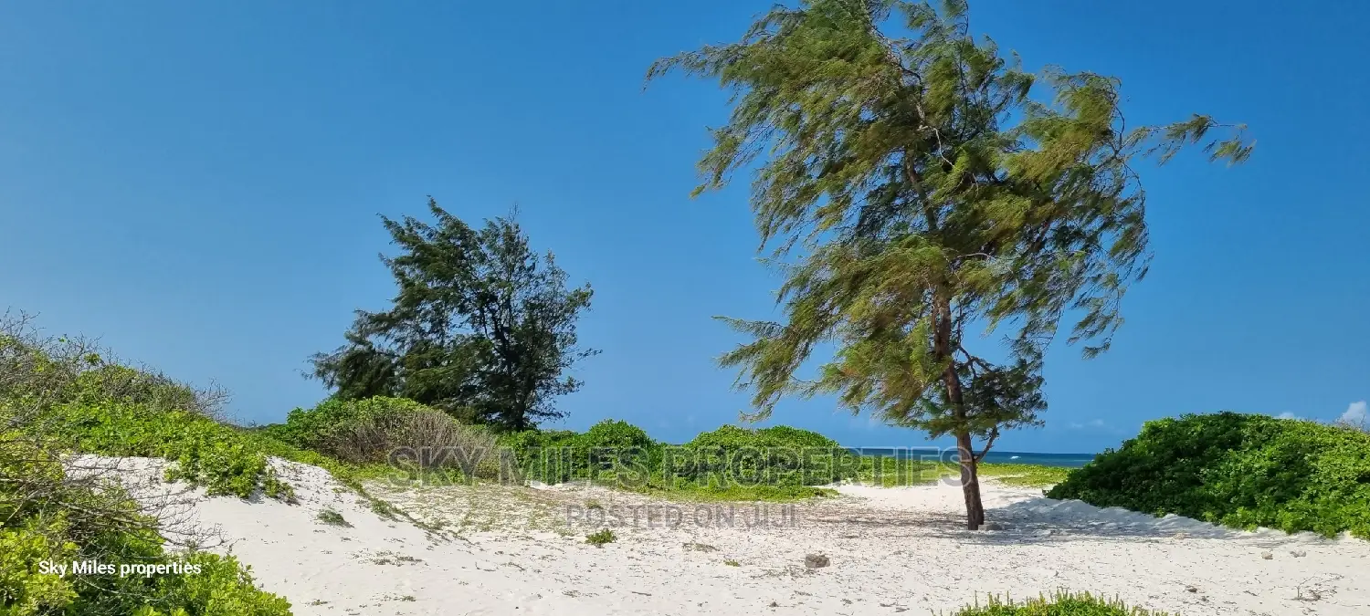 50 Acres Beach Property on Sale