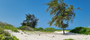 50 Acres Beach Property on Sale