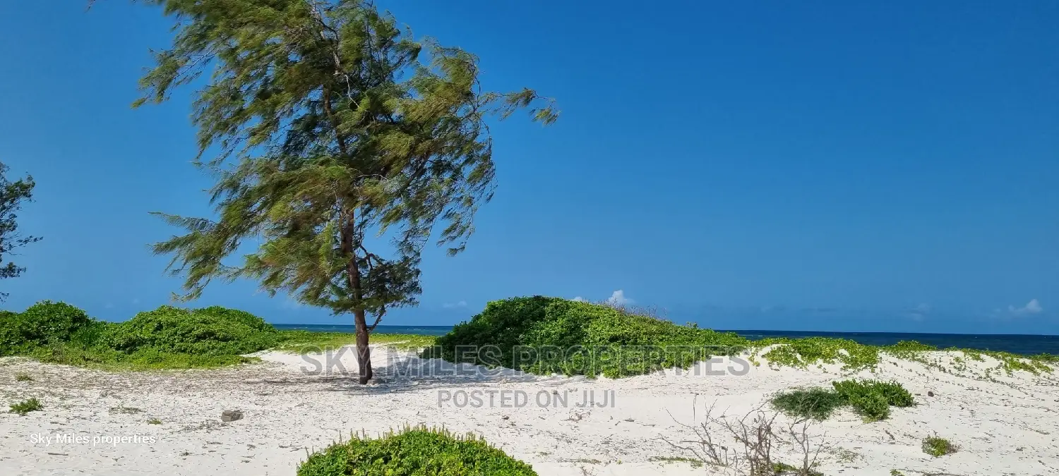50 Acres Beach Property on Sale