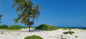 50 Acres Beach Property on Sale