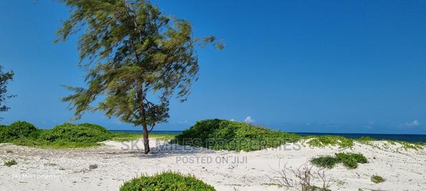 50 Acres Beach Property on Sale - thumbnail 4